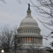 Capitol