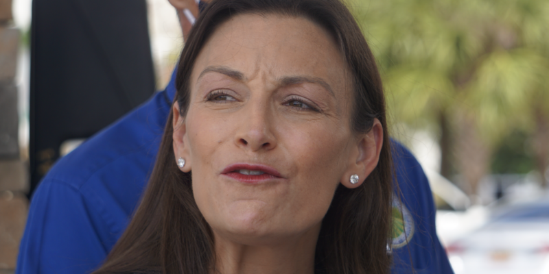 Nikki Fried: DeSantis Needs to 'Shut His Damn Mouth' on Florida DOGE