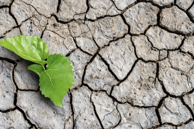 FIU Hosts Climate Change Conference