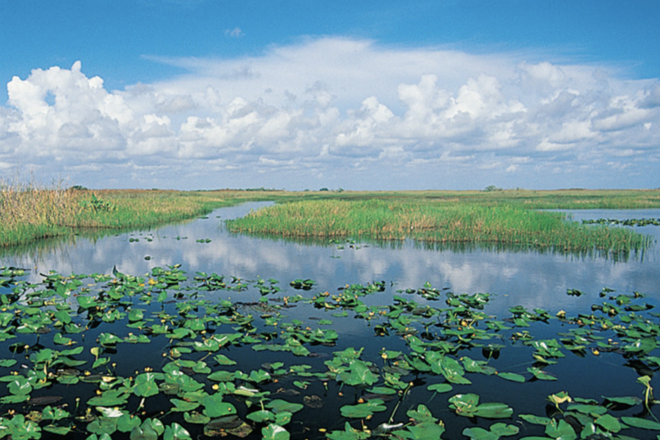 Bolstering Water Quality In Florida Through Honest and Open Collaboration