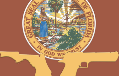 'Stop the Next Nikolas Cruz': GOP Leader Pushes Back on DeSantis' Open Carry, Red Flag Ideas