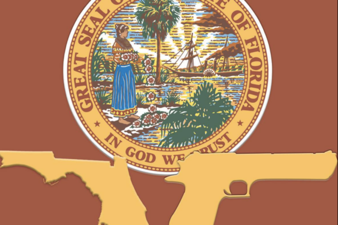 'Stop the Next Nikolas Cruz': GOP Leader Pushes Back on DeSantis' Open Carry, Red Flag Ideas
