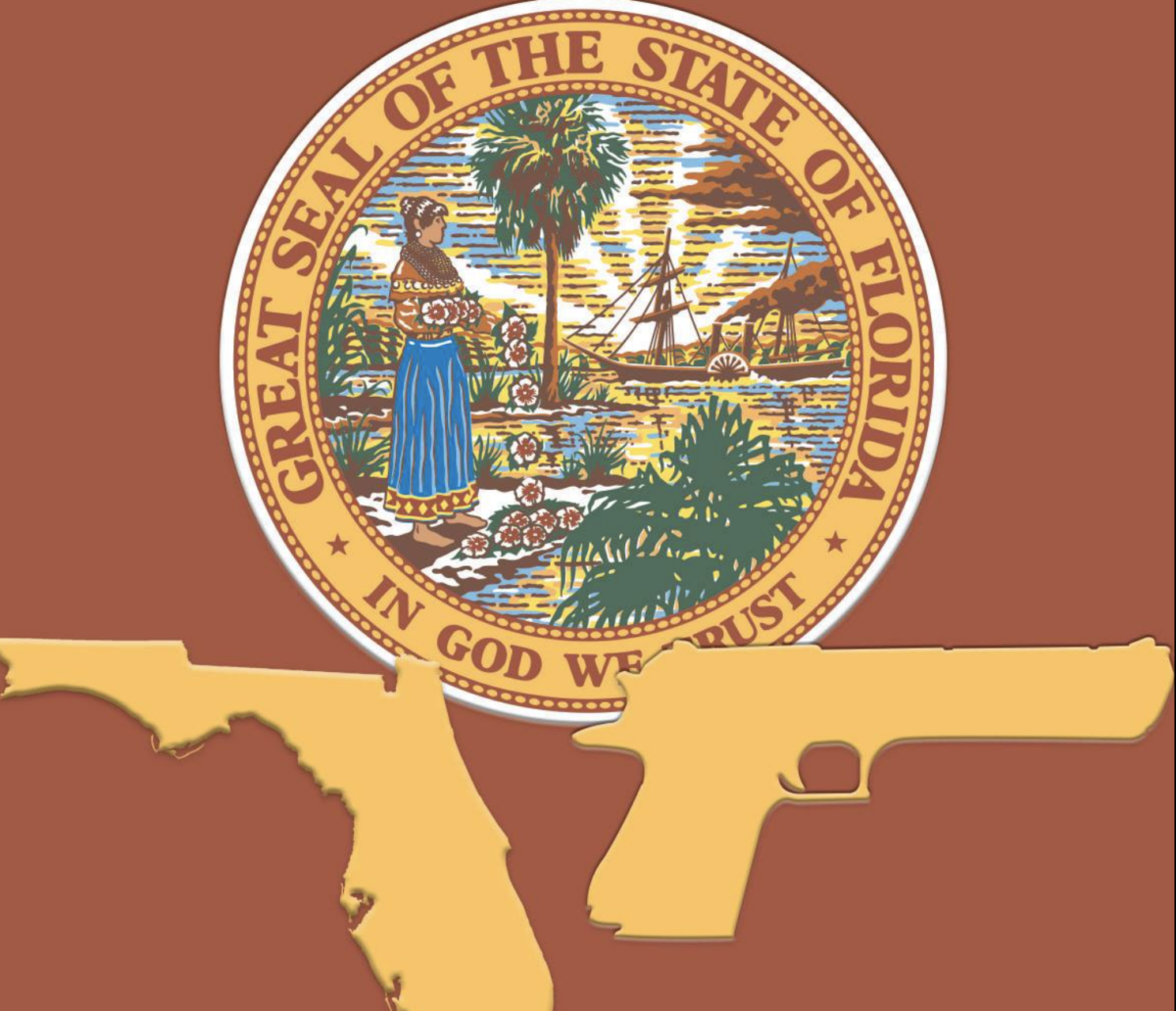 gun rights