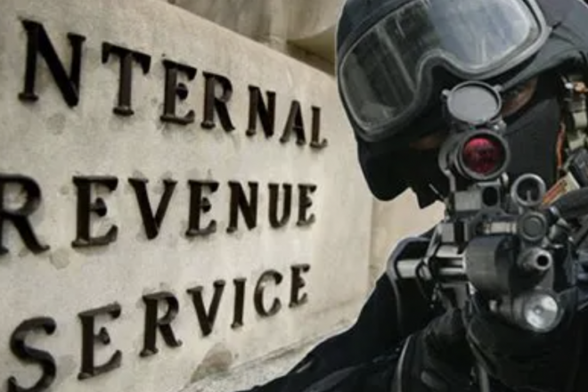 DOGE, Musk Look to Fire Thousands of IRS Agents and Usher in Trump's 'Golden Age'