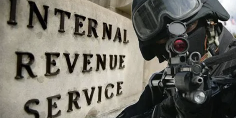 DOGE, Musk Look to Fire Thousands of IRS Agents and Usher in Trump's 'Golden Age'