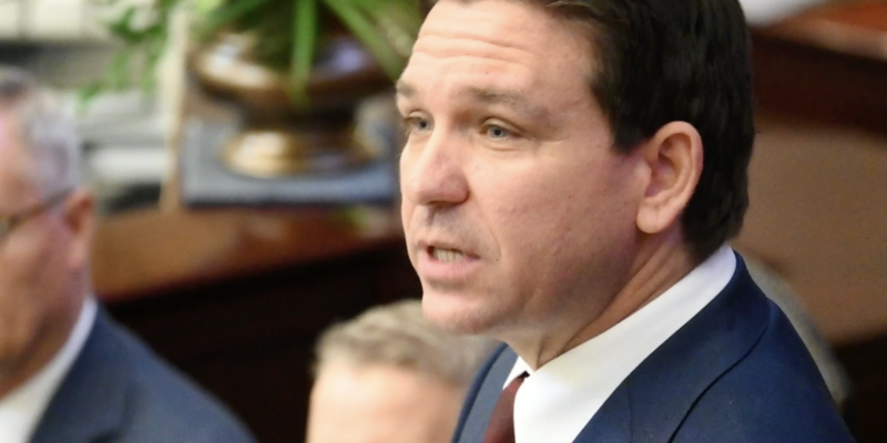 DeSantis Announces Florida's Own DOGE Task Force to Audit Schools, Cut State Boards